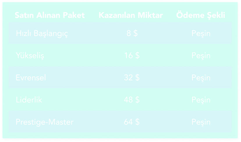 1. Seviye Kazanç Tablosu